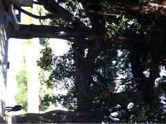 iphone_upload_pic-小洲村