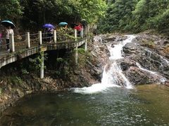 -九龙江国家森林公园