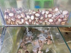 -四海鲜渔家菜(黄金海岸店)