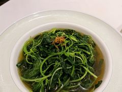 时蔬-翠园(兴业太古汇店)