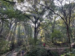 -紫金山山顶公园