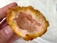 -丁老爷子苏香圆