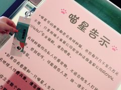 -猫咪博物馆(顶澳仔猫街店)