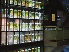 -广东中医药博物馆