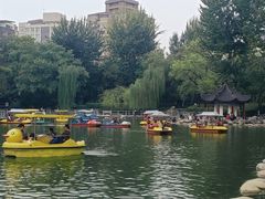 -莲湖公园