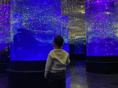 -哈尔滨波塞冬海底世界