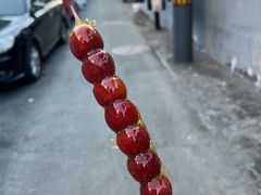 -和禄德冰糖葫芦