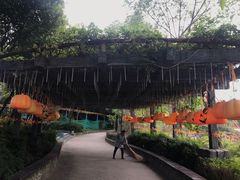 -南湖梦幻岛