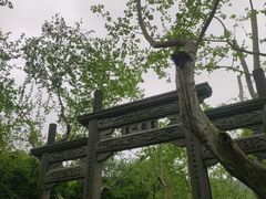 -杭州黄龙洞