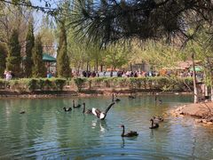 -长白岛森林公园