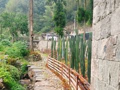 -MOJ coffee(瓯海泽雅水碓坑店)