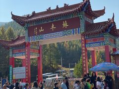 -苏木山森林公园