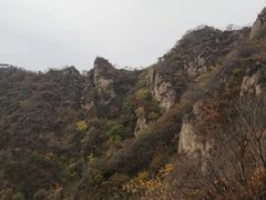 -大岭沟猕猴桃谷风景区