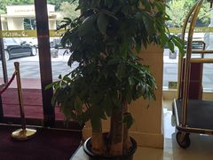 -水都假日酒店-海韵西餐厅(龙胜路店)