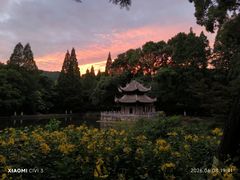 -习家池