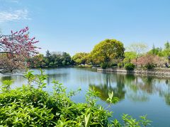 -无锡蠡湖国家湿地公园-蠡园