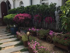 -素心小筑(后沙裕镇店)