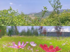-秘境石崮寨