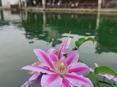 -南浔古镇