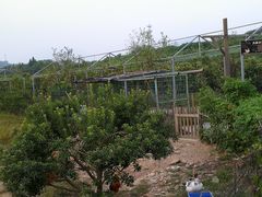 -凤凰谷天澜度假酒店云天阁自助餐