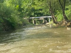 -天目湖松岭竹海漂流