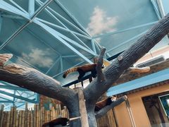 -辛玛王国游乐园