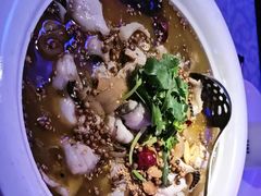 -巴特餐饮6加1音乐餐吧·新疆菜