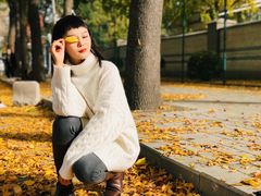 -三里屯东五街银杏大道