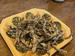 -乐山第一家临江鳝丝(茶坊路店)