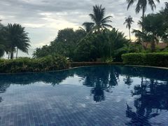 -椰树岛海滩度假村