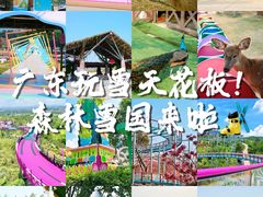 -盈香心动乐园