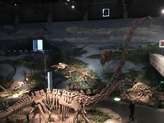 -自贡恐龙博物馆