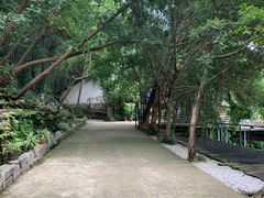 -美丽南方·老木棉匠园·团建烧烤·烤全羊