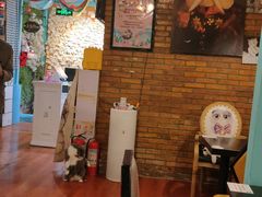 大堂-猫小院猫主题咖啡厅(北锣店)