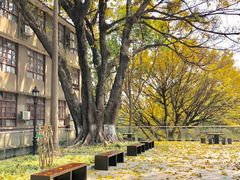 -星海音乐学院(沙河校区)