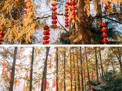 -杭州上天竺法喜讲寺