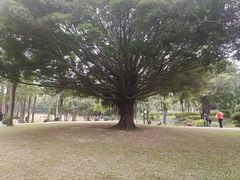 -荔香公园
