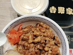 -吉野家(红博中央公园店)