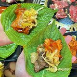 长沙不需要营销的店…正宗齐齐哈尔烤肉！！