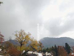 -塔川景区