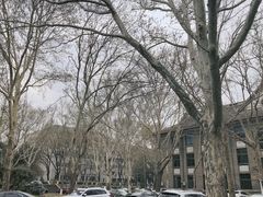 -山东师范大学(千佛山校区)