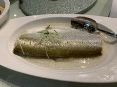 白水鱼-太湖饭店·寄畅轩中餐厅