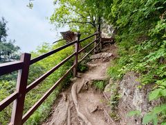 -王顺山国家森林公园