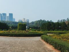-南沙蒲洲花园