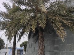 -青澳湾北回归线广场