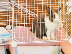 -大象厨房(重庆道店)