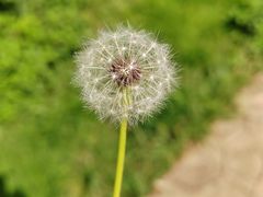 -面包工坊(七彩云南第一城店)