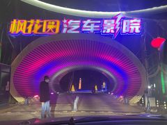 -枫花园汽车电影院(朝阳公园店)