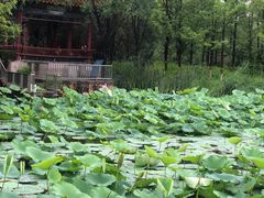 -温都水城·水梦奇缘