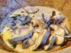-云中鱼蒸汽石锅鱼(浦东食品城店)